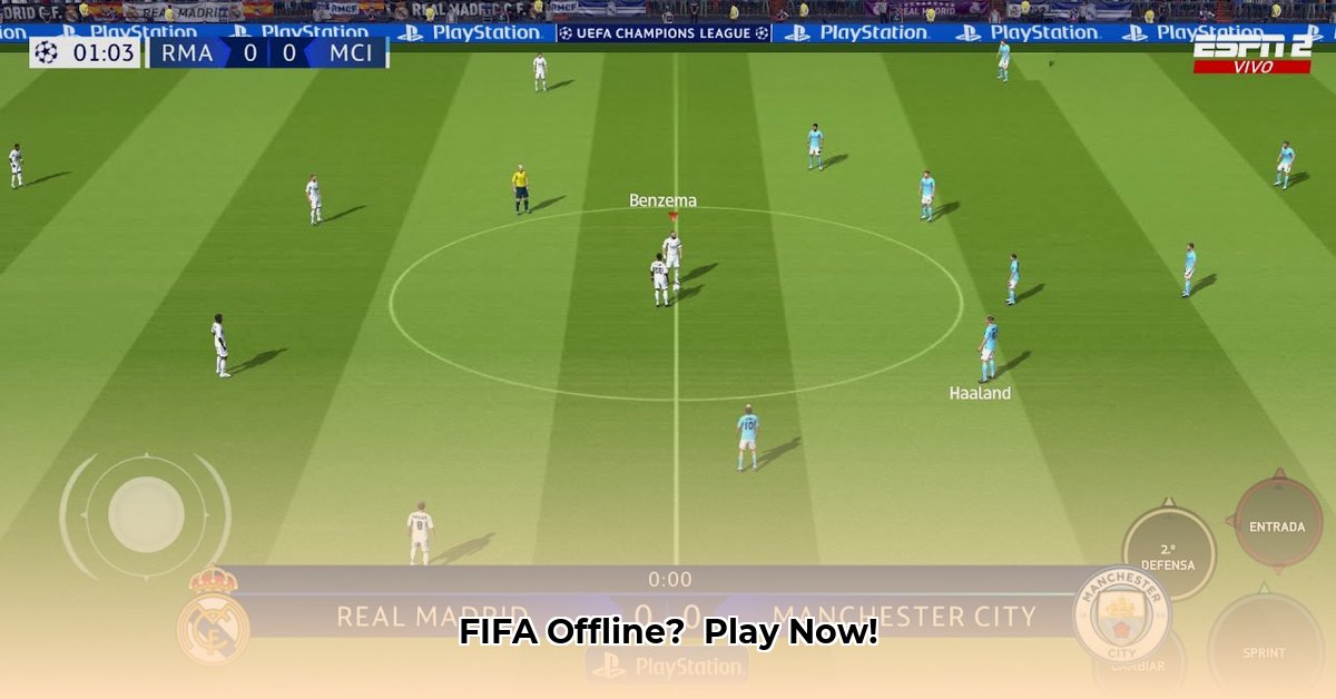 fifa-sin-internet